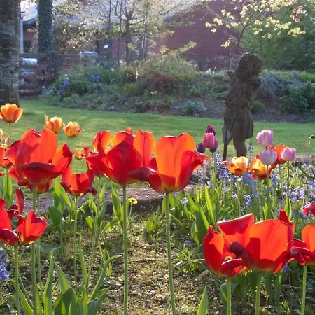Sandymount House Отель типа 